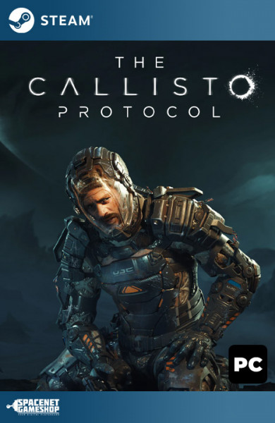 The Callisto Protocol Steam [Account]